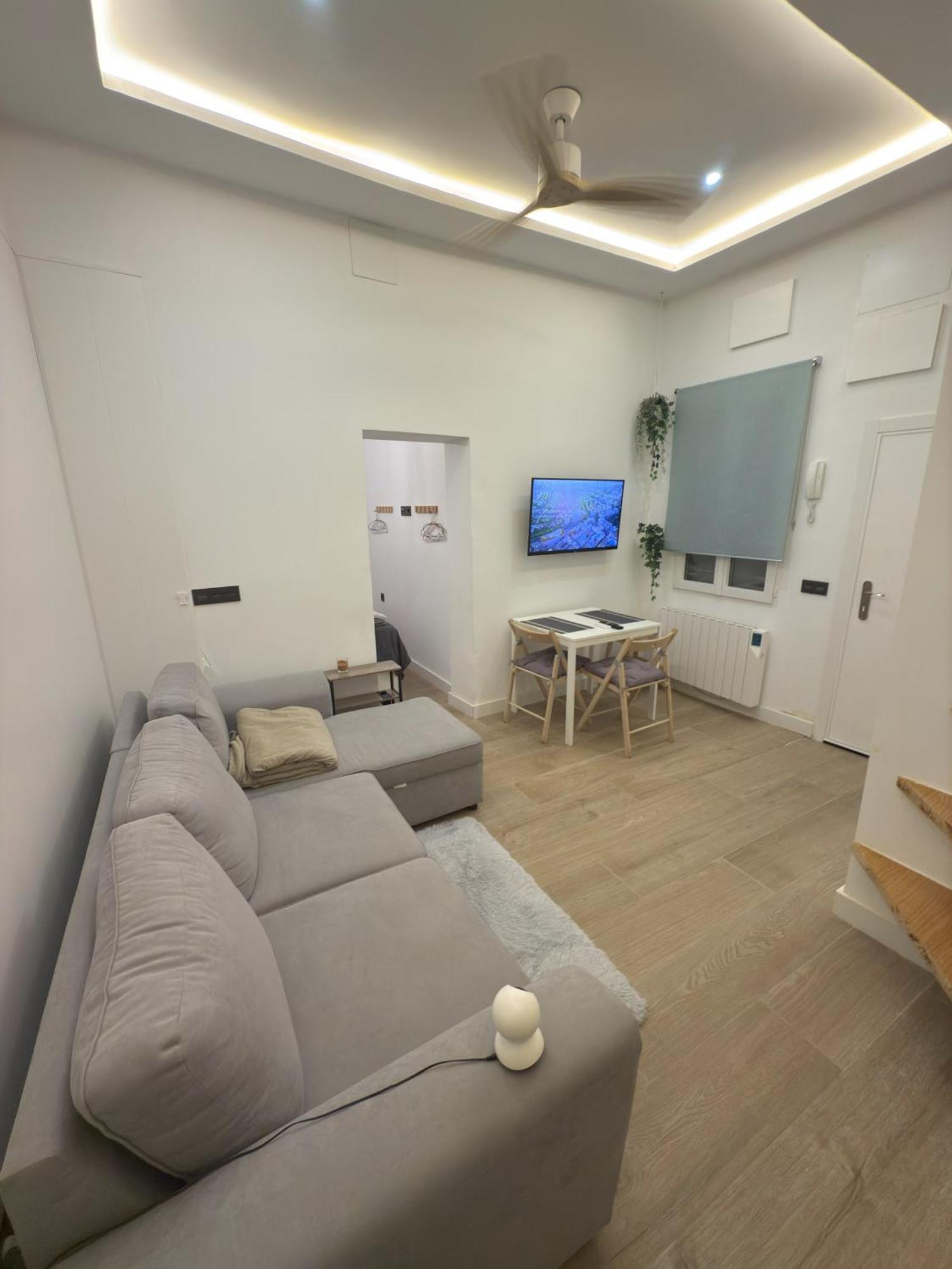 Modern Flat In Lavapies
